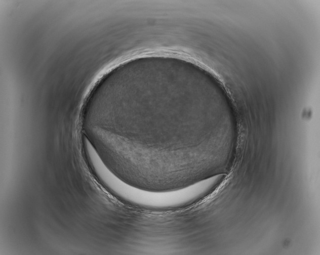 X0000097911506200804111058