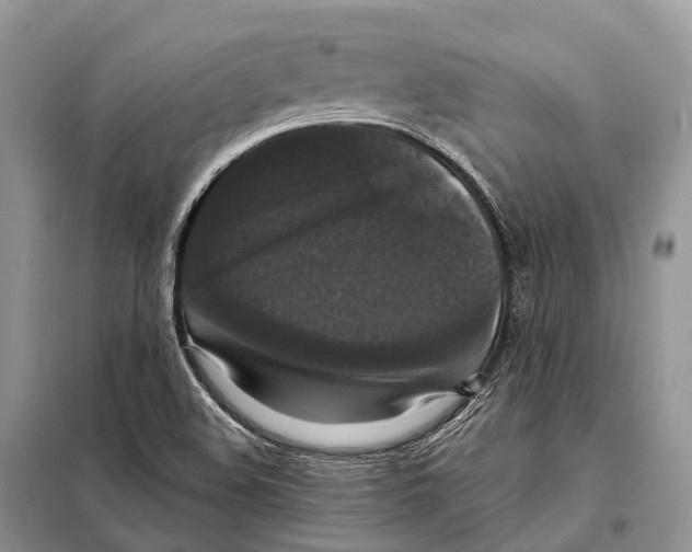 X0000097911508200804111058