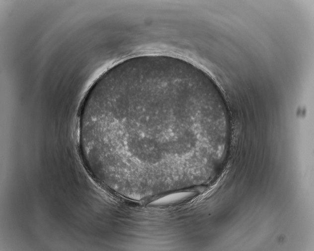 X0000097911509200804111058