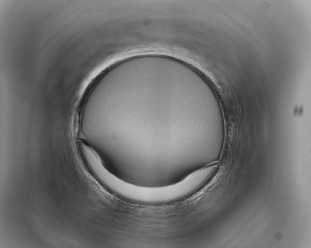 X0000097911510200804111058