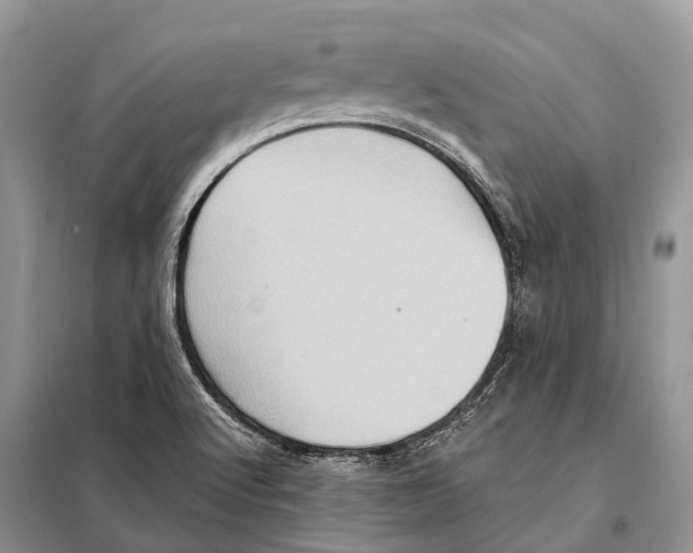 X0000097911512200804111058