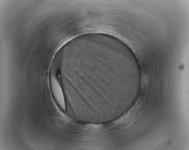 X0000097911513200804111058