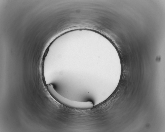 X0000097911516200804111058