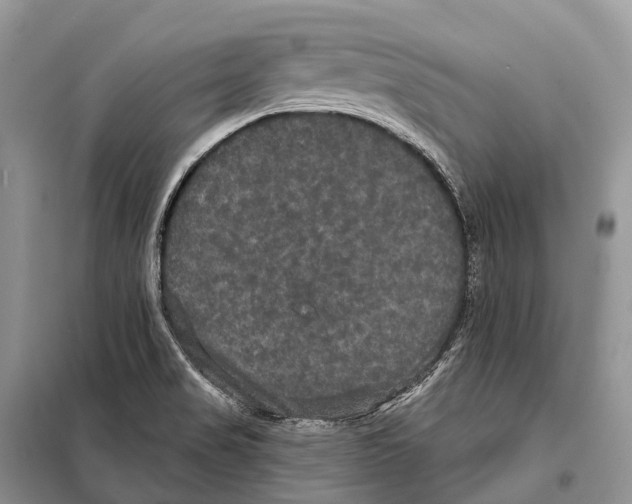 X0000097911517200804111058