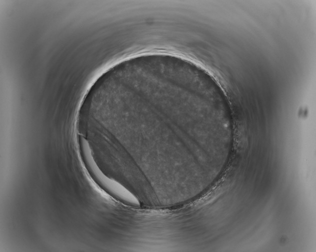 X0000097911519200804111058