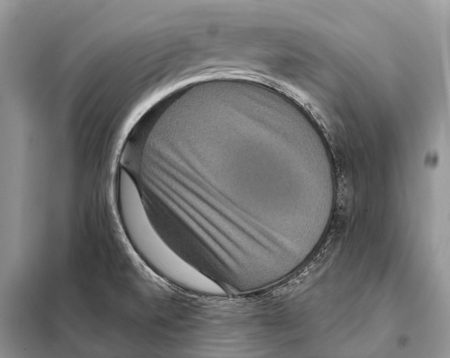 X0000097911520200804111058