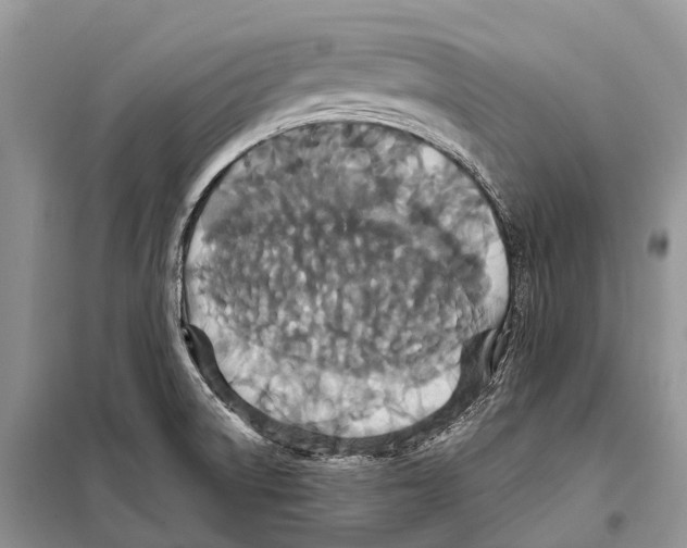 X0000097911522200804111058