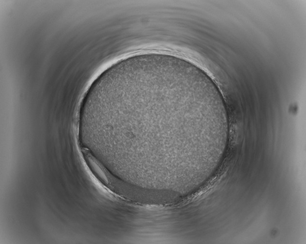 X0000097911523200804111058