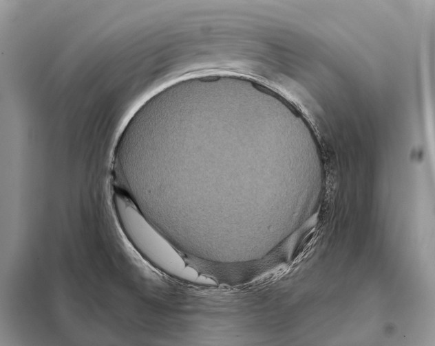 X0000097911524200804111058