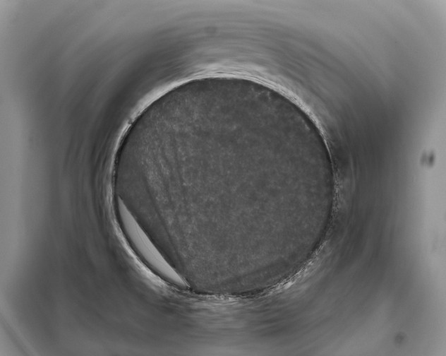 X0000097911525200804111058