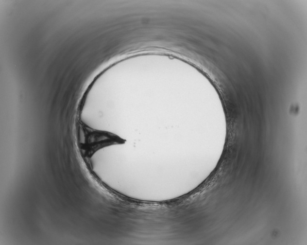 X0000097911526200804111058