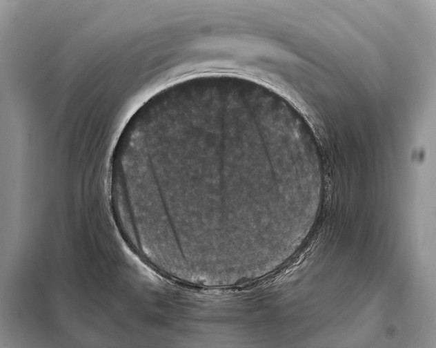 X0000097911527200804111058