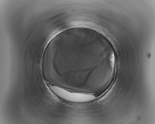 X0000097911529200804111058