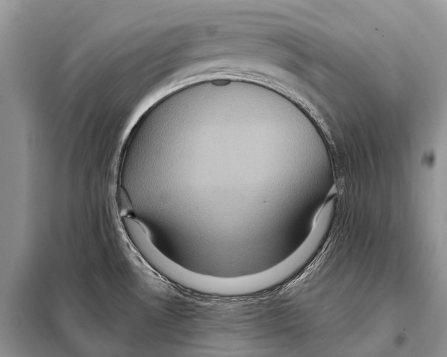 X0000097911530200804111058