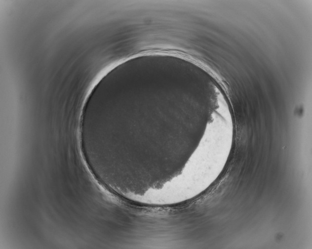 X0000097911533200804111058