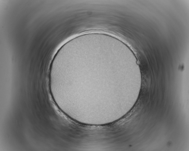 X0000097911534200804111058