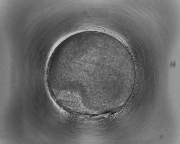 X0000097911536200804111058