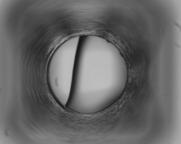 X0000097920002200803141041