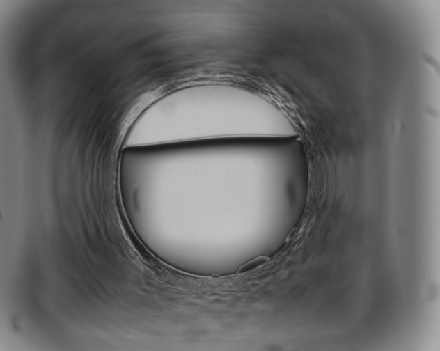 X0000097920003200803141041