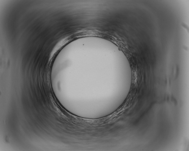 X0000097920004200803141041