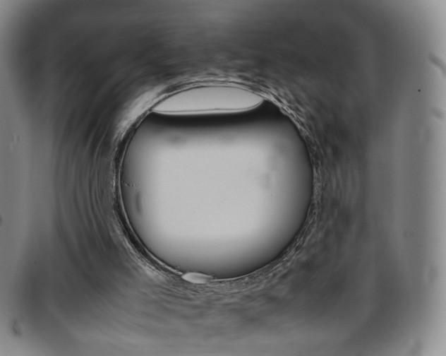X0000097920005200803141041