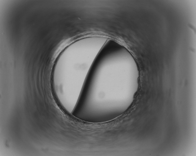 X0000097920007200803141041