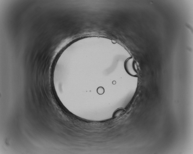 X0000097920008200803141041