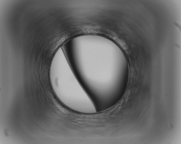 X0000097920009200803141041
