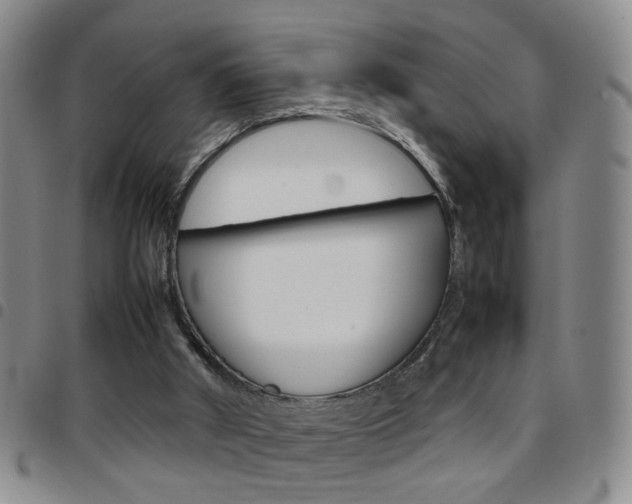 X0000097920010200803141041
