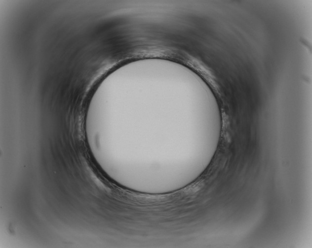 X0000097920012200803141041