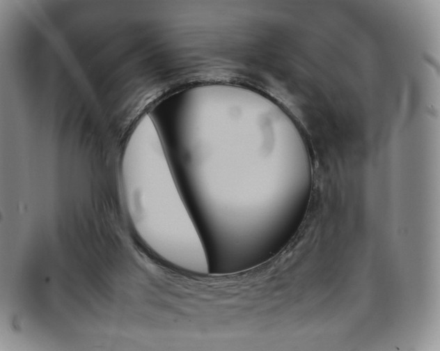 X0000097920013200803141041