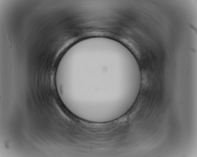 X0000097920016200803141040
