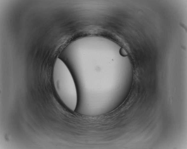 X0000097920018200803141040
