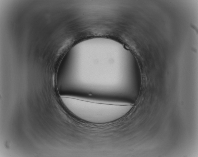 X0000097920019200803141040