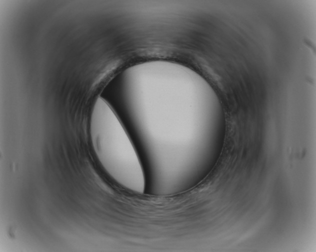 X0000097920020200803141040