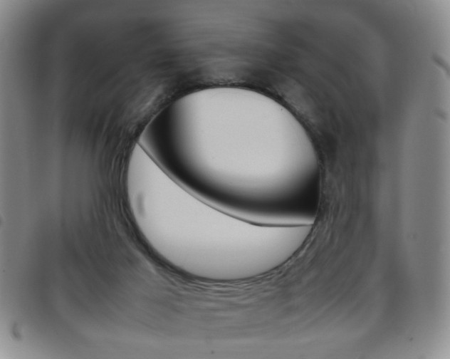 X0000097920021200803141040