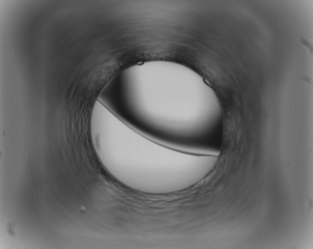 X0000097920025200803141040