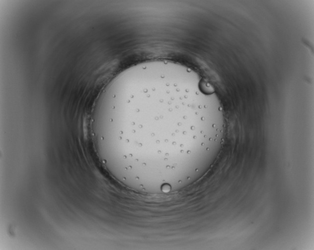 X0000097920026200803141040