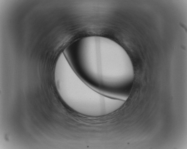X0000097920027200803141040