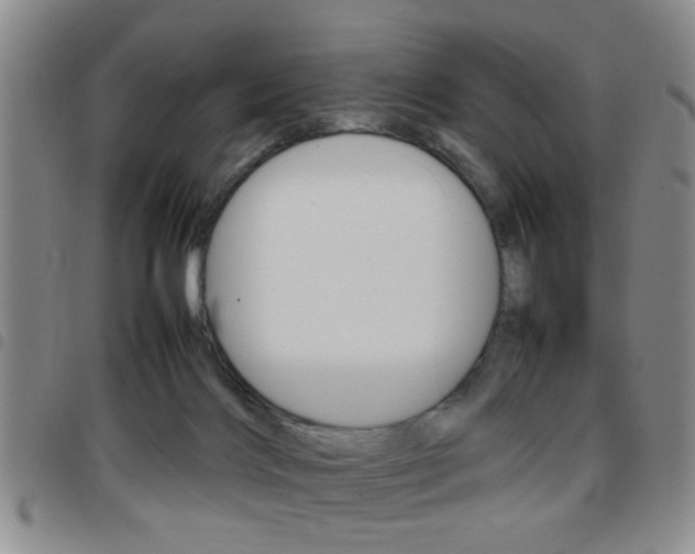X0000097920028200803141040