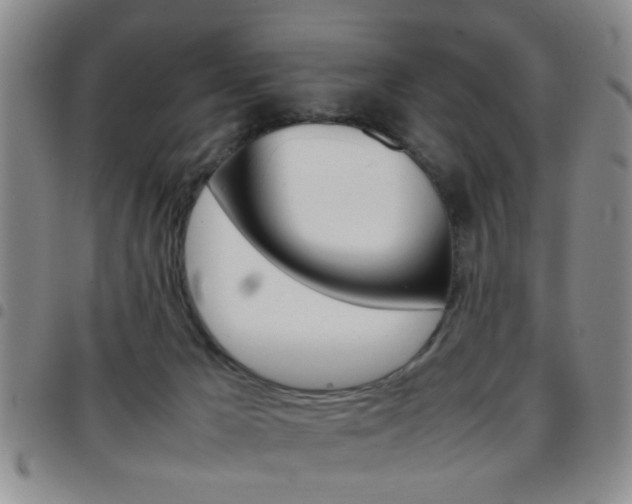 X0000097920029200803141040