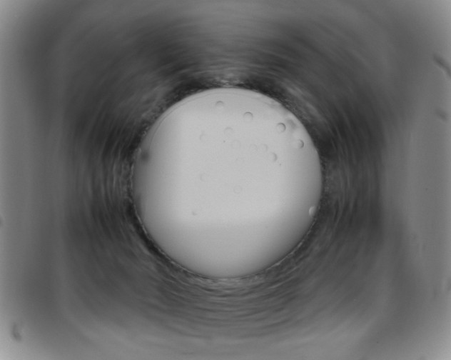 X0000097920030200803141040