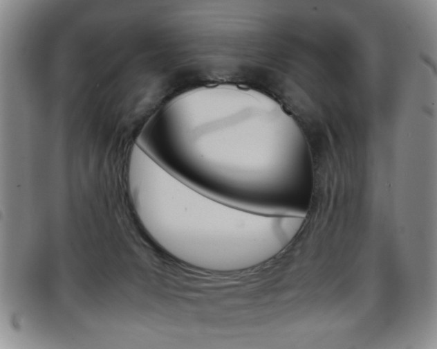 X0000097920031200803141040