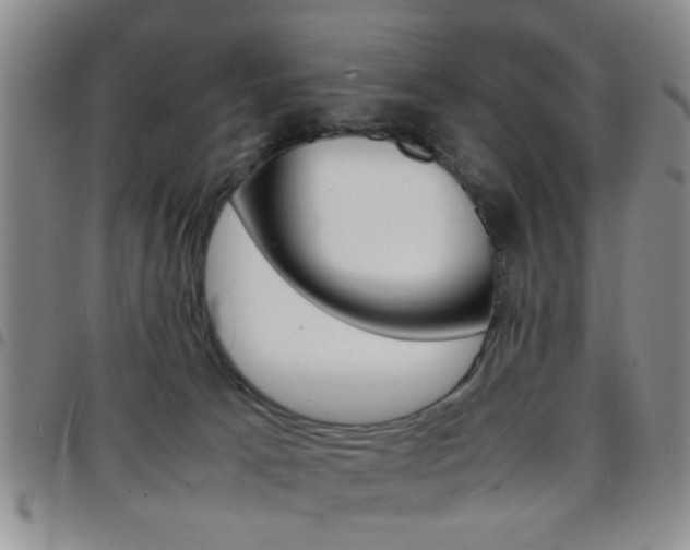 X0000097920033200803141040