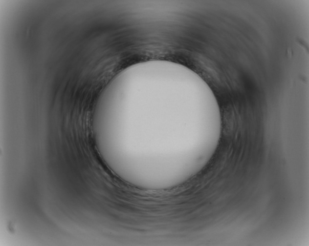 X0000097920034200803141040