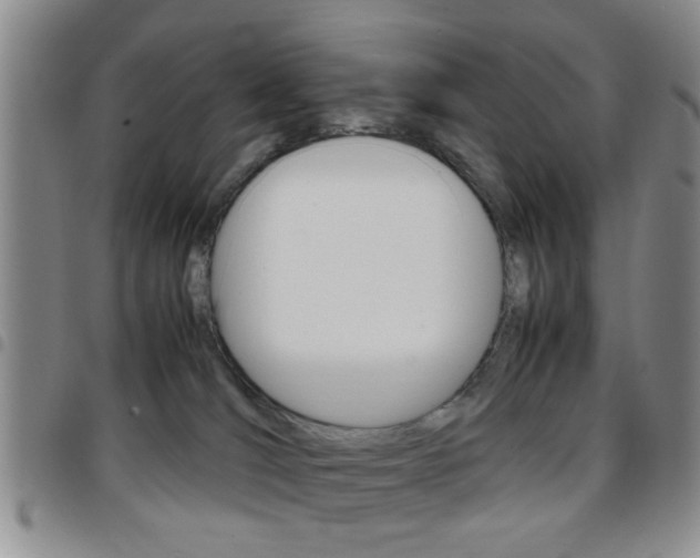 X0000097920036200803141040