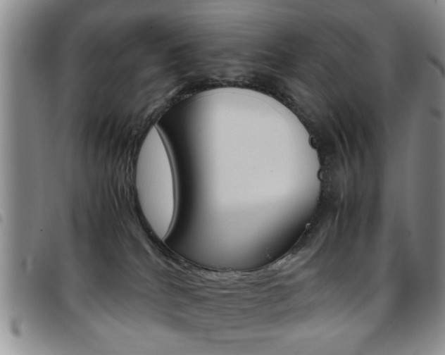 X0000097920040200803141040