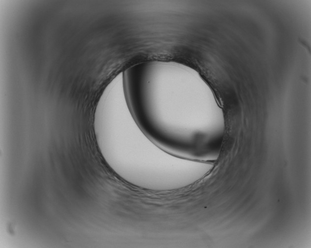 X0000097920041200803141040