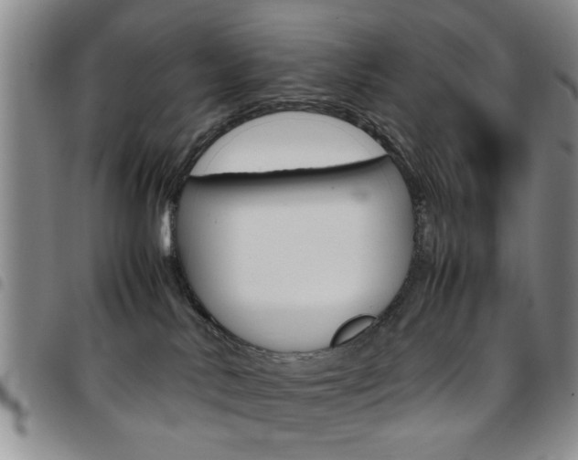 X0000097920042200803141040
