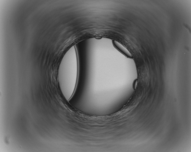 X0000097920044200803141040